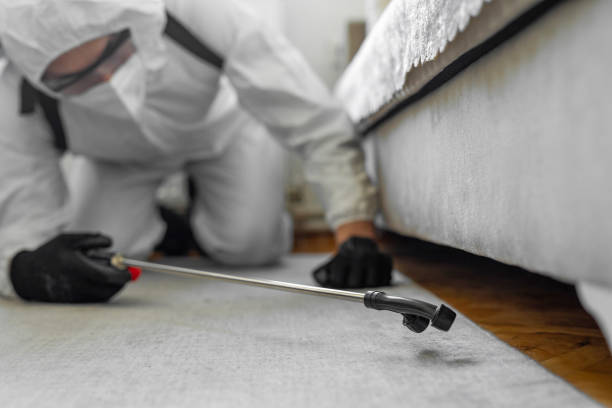 Professional Pest Control technician working in Placentia, CA
